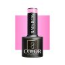 Geelilakka OCHO NAILS RAINBOW R05