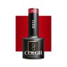 Hybridigeelilakka OCHO NAILS 204