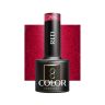 Hybridigeelilakka OCHO NAILS, 206
