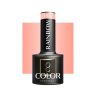Hybridigeelilakka OCHO NAILS RAINBOW R03