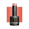 Hybridigeelilakka OCHO NAILS RAINBOW R04