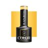 Hybridilakka OCHO NAILS RAINBOW R01