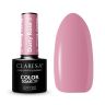 Hybridikynsilakka CLARESA DUSTY ROSE 8