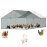 Metallinen kanatarha VEVOR JD362, 3 × 6 × 2 m