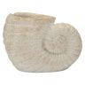 Maljakko Shell Sand A, 33 × 23 × 19 cm