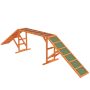 Koira agility -silta PawHut 325x55x69cm, eri väreissä