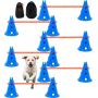 Koiran agility-estesetti, 12 kartiota ja poikkipuu, 6 kpl.