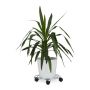 Plant tray with wheels 6x32x32cm., silver/black