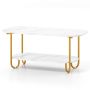 Coffee table 100x50x45cm., white/gold color