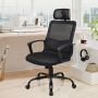 Ergonomic mesh office chair with lumbar support, black, 12 kg