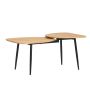 Coffee table 100x54x45cm., black/light brown