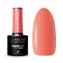 Geelilakka CLARESA SUMMER STORIES 5