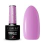 Geelilakka CLARESA SUMMER STORIES 7