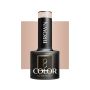 Hybridigeelilakka OCHO NAILS