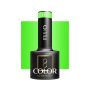 Hybridigeelilakka OCHO NAILS FLUO F02
