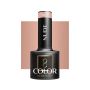 Hybridigeelilakka OCHO NAILS, N02, Beige