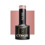 Hybridigeelilakka OCHO NAILS, N03