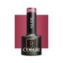 Hybridigeelilakka OCHO NAILS, N06