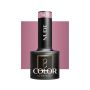 Hybridigeelilakka OCHO NAILS, N09