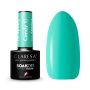 Hybridikynsilakka CLARESA CANDY 10