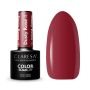 Hybridikynsilakka CLARESA Dusty Rose 4