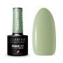 Гибридный лак для ногтей CLARESA GRAY 800