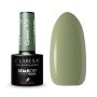 Гибридный лак для ногтей CLARESA GREEN 801