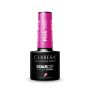 Hybridikynsilakka CLARESA PINK 540