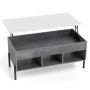 Coffee table, with hidden compartment and 3 open niches, Gray, 100 × 50 × 45 cm