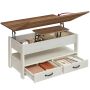 Coffee table VASAGLE LCT254L01, 2 drawers, 4 compartments, 100 × 64.1 × 50 cm