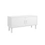 Shoe cabinet with double doors