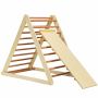 Wooden climbing ladder, 2 in 1 with ramp, Multicolored, 120 × 120 × 70 cm