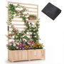 Raised bed with trellis, 90 × 34 × 150 cm