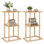Set of 2 side tables, 2-tier, 40 × 65 × 28 cm