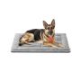 Dog blanket S 60 x 45 cm, machine washable, dove gray