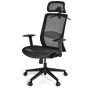 Mesh office chair, With adjustable lumbar support, 68 × 67 × 114–124 cm