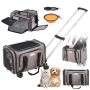 Cat and dog carrier with wheels, telescopic handle, gray, up to 11 kg