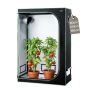 Indoor grow tent, 120x60x180 cm, 600D film, with window and tray