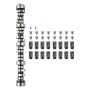 LS Truck Cast Iron Camshaft Kit with Valve Seals, 1999-2013, GM 3/4 Generation, 4.8-6.2L Engines