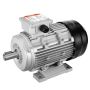 2.2 kW AC motor, 2890 rpm, 3 phases, B3 frame, for agriculture