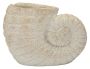 Maljakko Shell Sand A, 33 × 23 × 19 cm