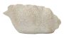 Maljakko Shell Sand B, 35 × 18 × 23 cm