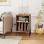 Vinyl record stand, 2 slots, 2 USB and Type-C port, Walnut, 53 × 78.5 × 45 cm