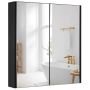 Bathroom cabinet, with double mirrored doors, 62 × 65 × 11 cm