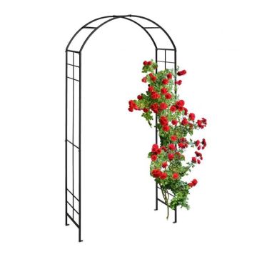 Арка для растений 224х110х41см., цвет черный.