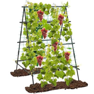 A-shaped garden trellis, 41 × 43 × 59 / 41 × 41 × 60 in