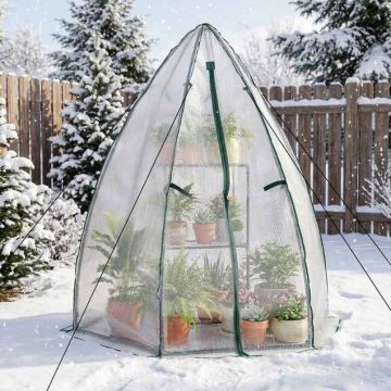 Mini greenhouse, 160 × 139 × 182 cm