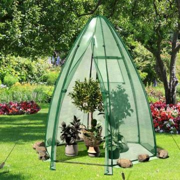 Mini greenhouse, Green, 160 × 183 × 160 cm
