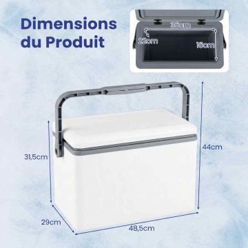 Portable cooler, 12 l, White, 48.5 × 31.5 × 29 cm