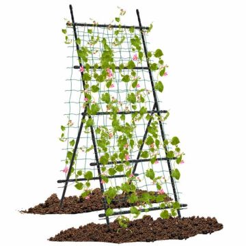 Raised bed trellis, A-shaped, Black, 80 × 95 × 190 cm